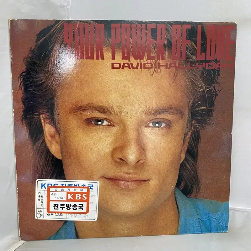 DAVID HALLYDAY LP / C810